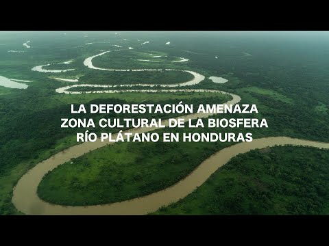 Honduras: deforestación amenaza la zona cultural de la Biosfera Río Plátano