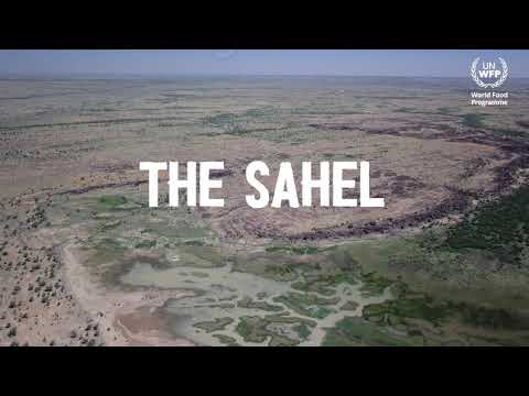 Regreening the Sahel